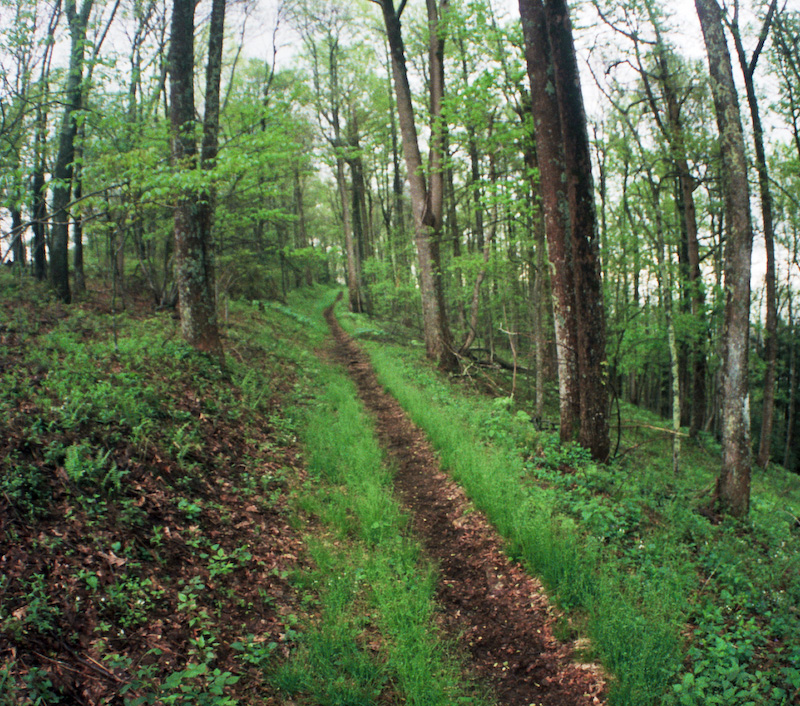 Ridge Trail